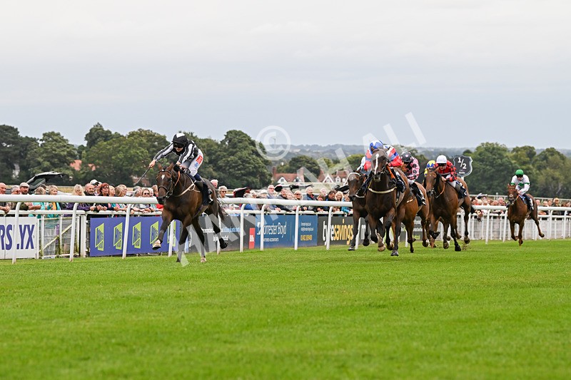 150824-Race 5-Pons Aelius-8282 - Race 5