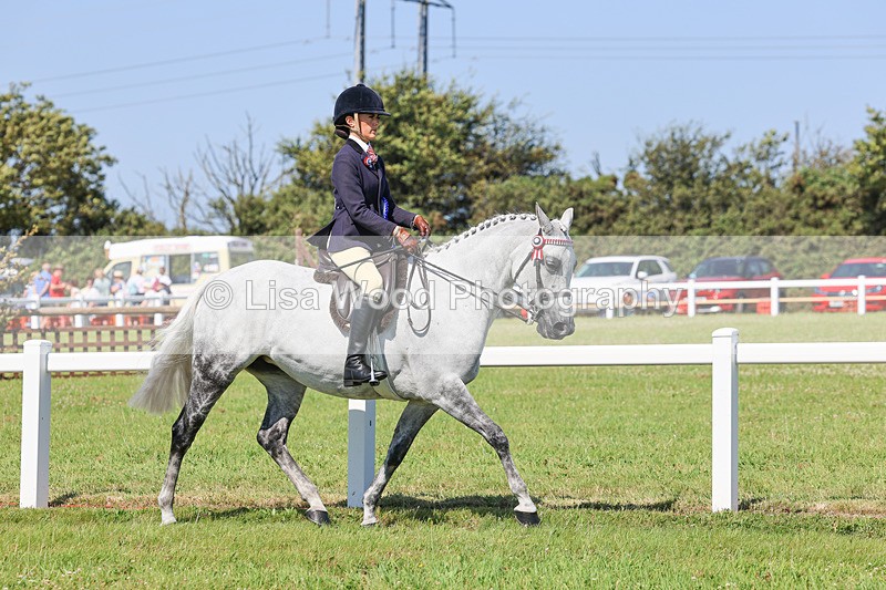 IMG_1983 - Class 33: Show Pony 148cm and under