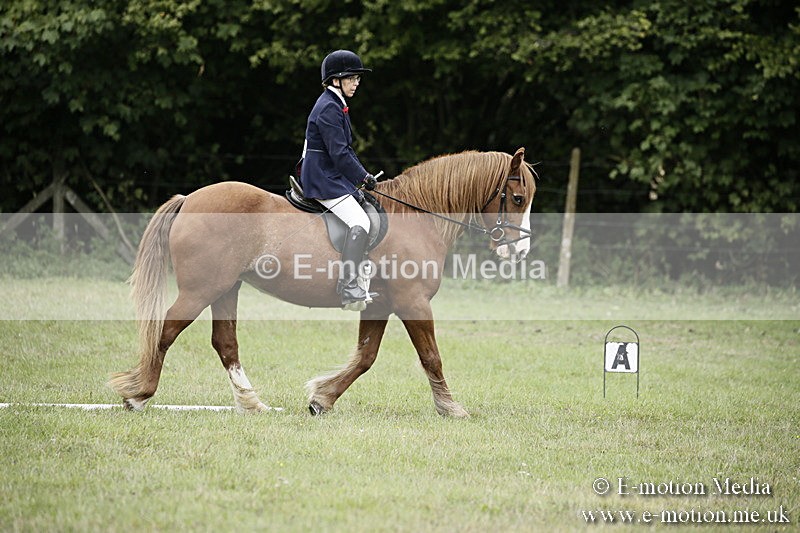 BVR080918 42 - BVRC Novice Dressage & CR 08/09/18