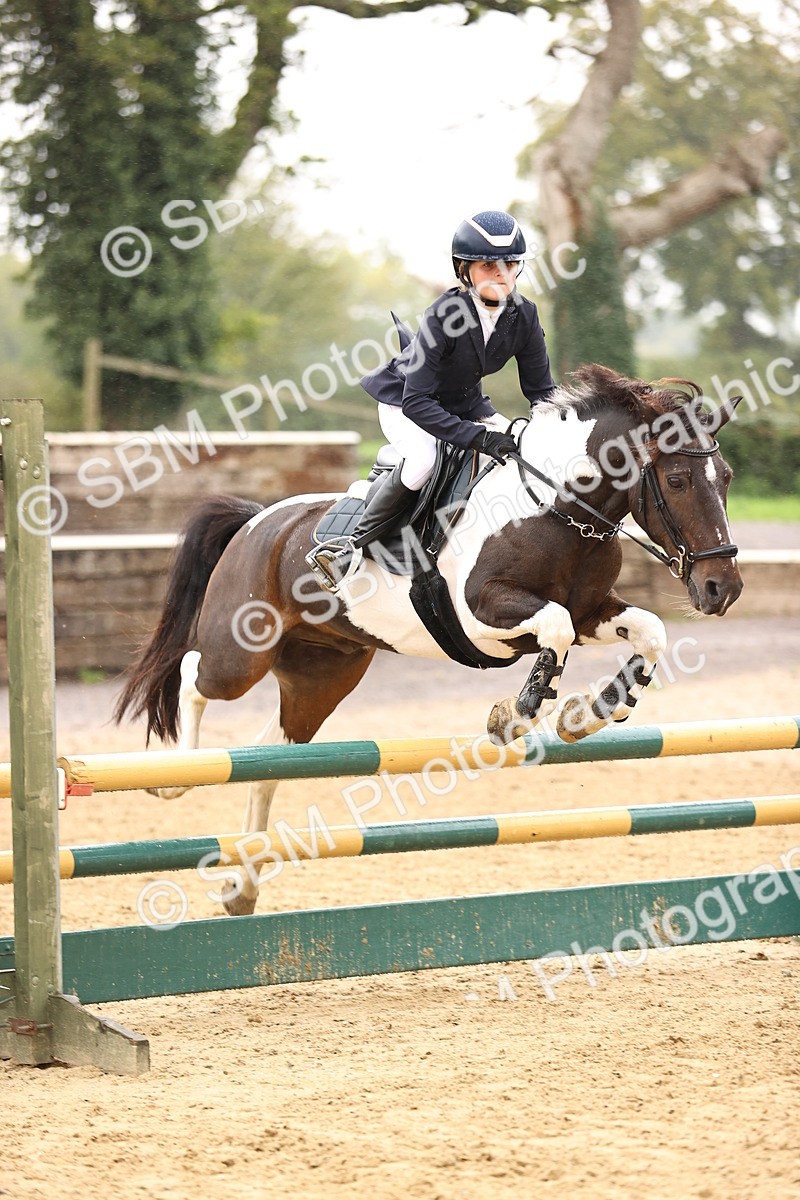SBM_70044 - Supreme Championship 80cm 85cm