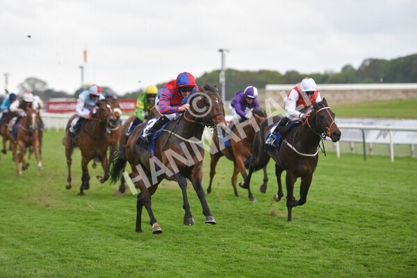 yr14052021r6-21 - Race 6 4.15pm Yorkshire Equine Practice Stakes