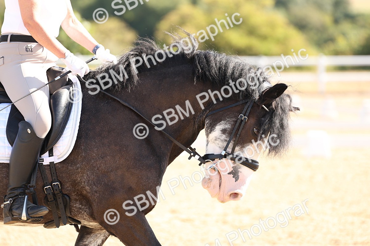 SBM_000341 - Intro 2 Warm Up