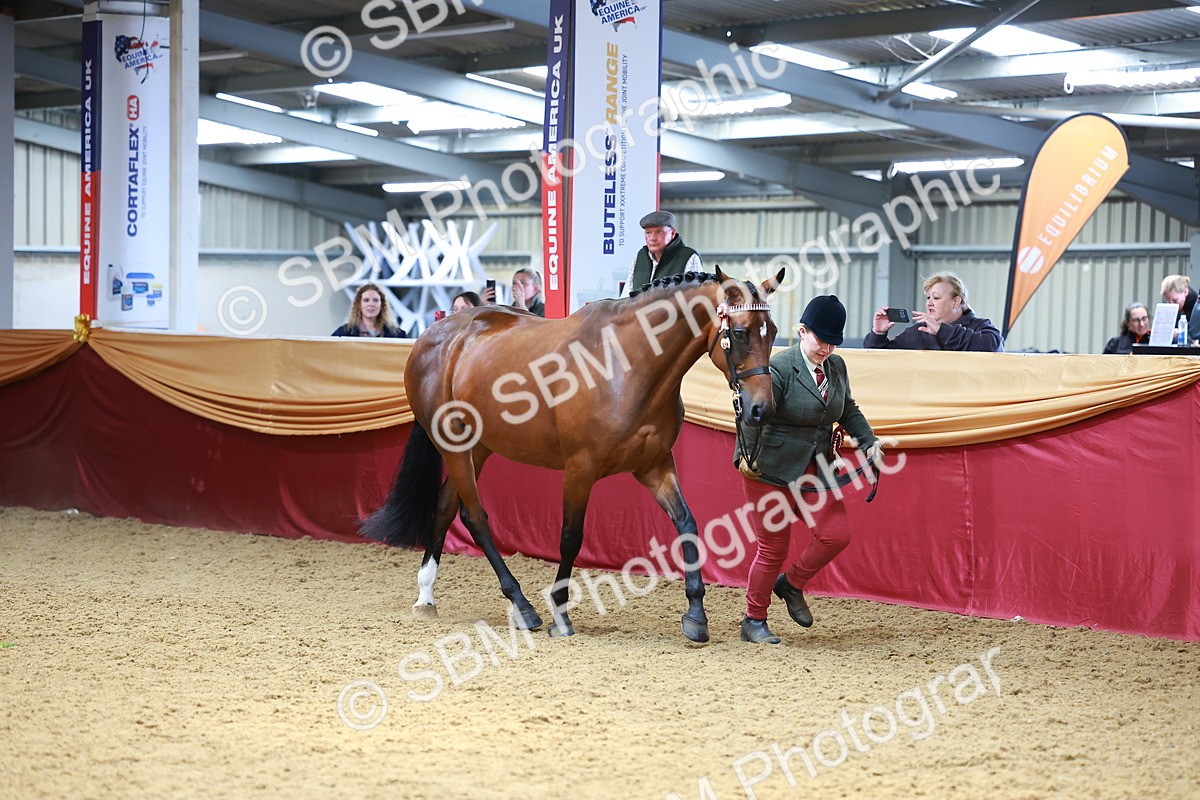 SBM_04364 - Class 9R - IH Pre-Vet