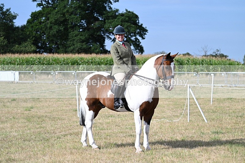 WJ7_2616 - Class 8 Ridden Tack & Turnout