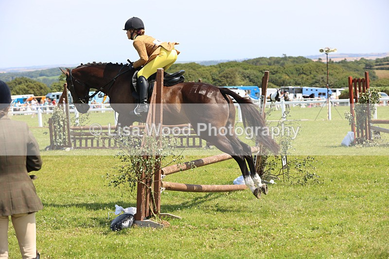 JPP_3052 - Class 22: Working Hunter 70cm