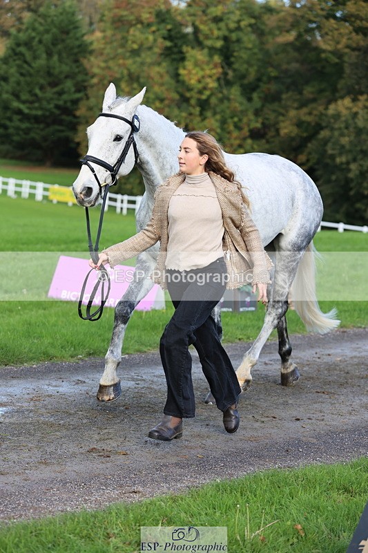 251026A-101913-22882 - D-329-Clementine.Montgomerie