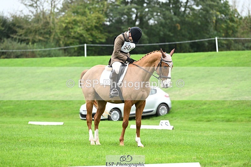 241024-110027-03112 - 502-Alison.Stewart-RICO.III