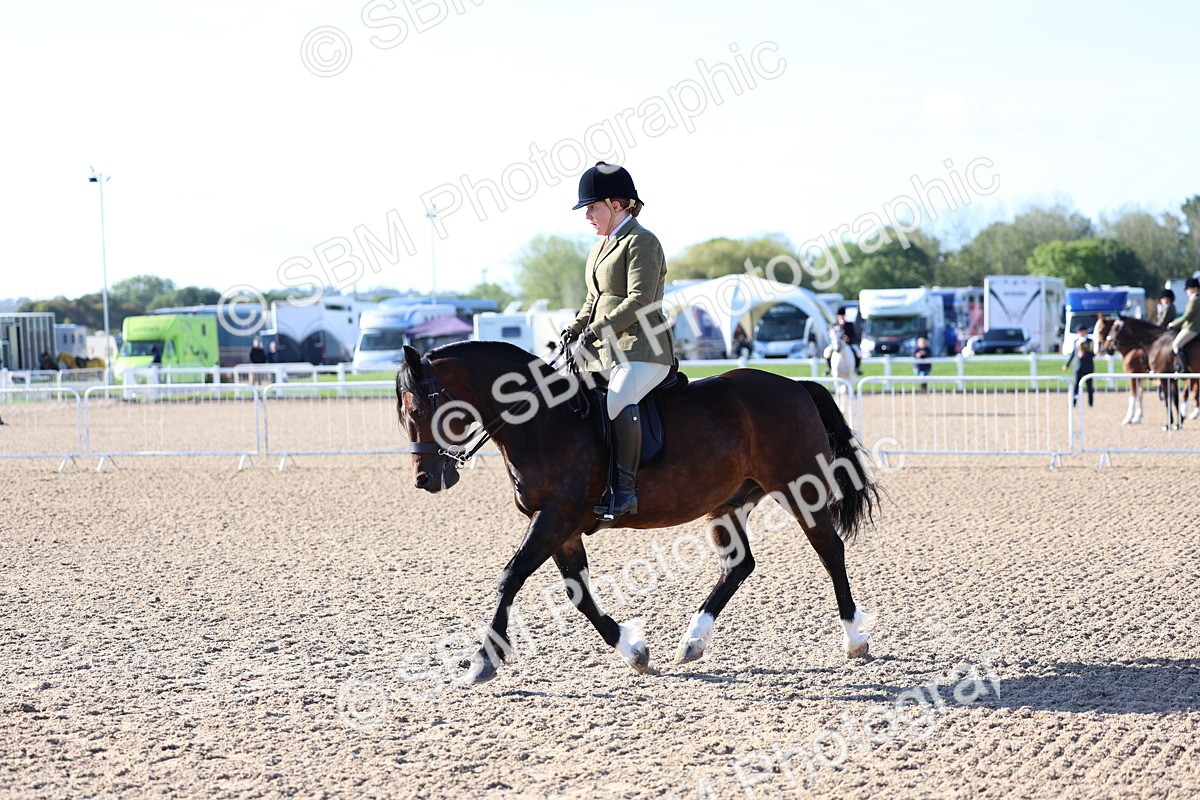 SBM_08809 - Class 302 - Ridden M&M - Large Breeds