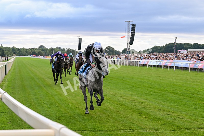250726-Race 6-Likealot-7684 - Race 6 16.17pm Sky Bet Build A Bet Handicap