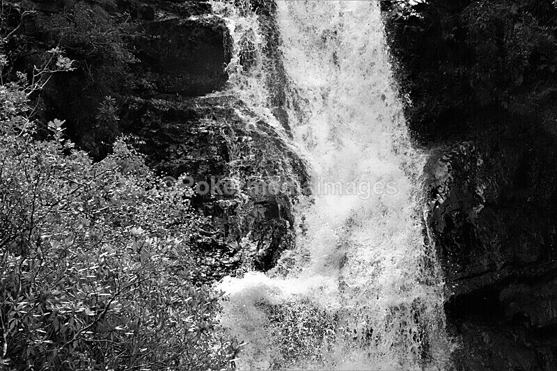 DSC07837 - SEPT 2020 STAYCATION