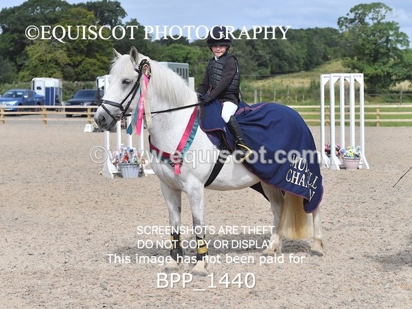 BPP_1440 - DERBY CLASS 2 - 30CM