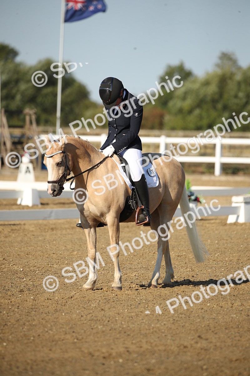 SBM_004469 - Class 11 - Novice 5 - 9.0010.03