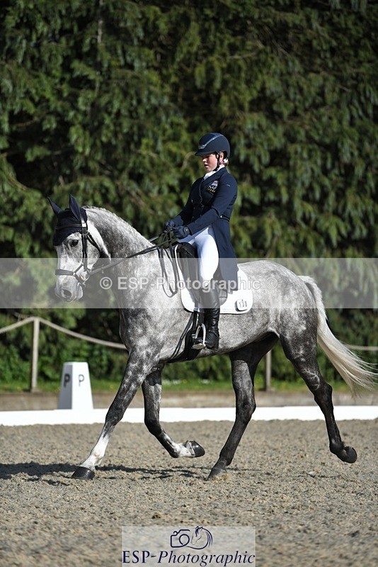 230525-174213-03586 - 130-CFH_DAKAR_HILL-Millie_Juleff-WEDTrotUp+DR