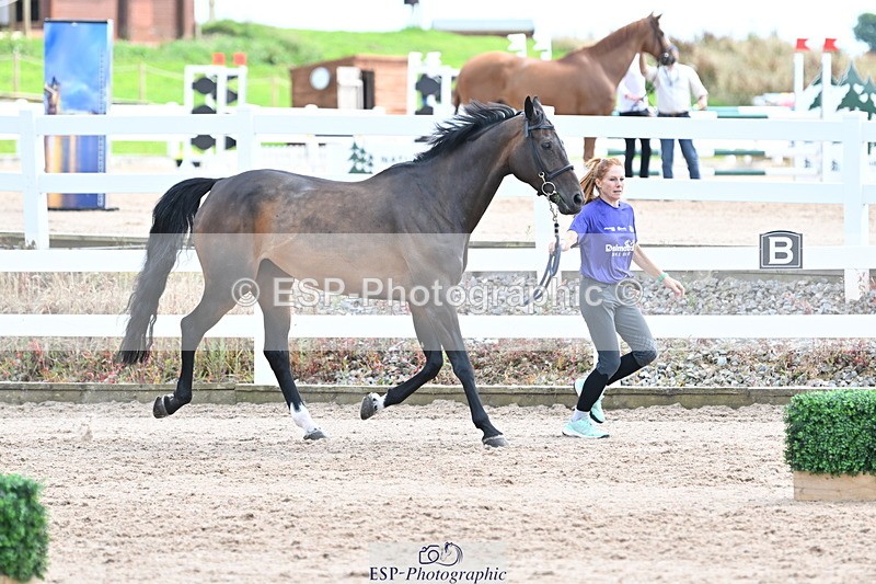 240717A-144032-02183 - Trot Up 2pm to 3pm - This folder is not in time order