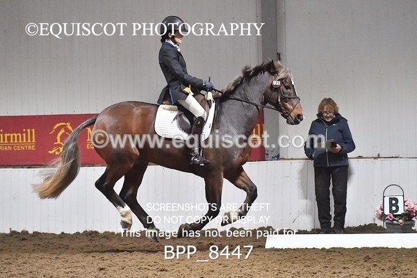 BPP_8447 - NOVICE 6 UNAFF