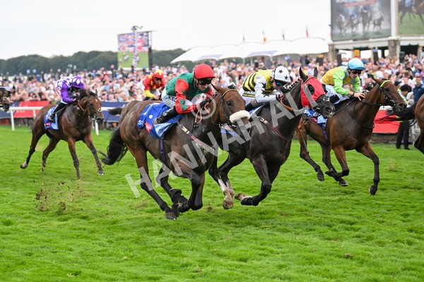230825-Race 5-Northern Ticker-0763 - Race 5 4.10pm Sky Bet Constantine Handicap