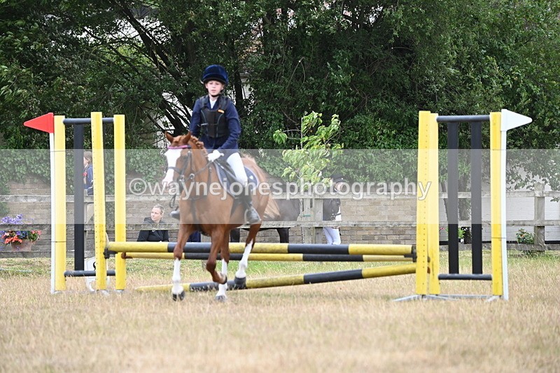 WJ6_0150 - Class 13 Novice Jumping 60cm