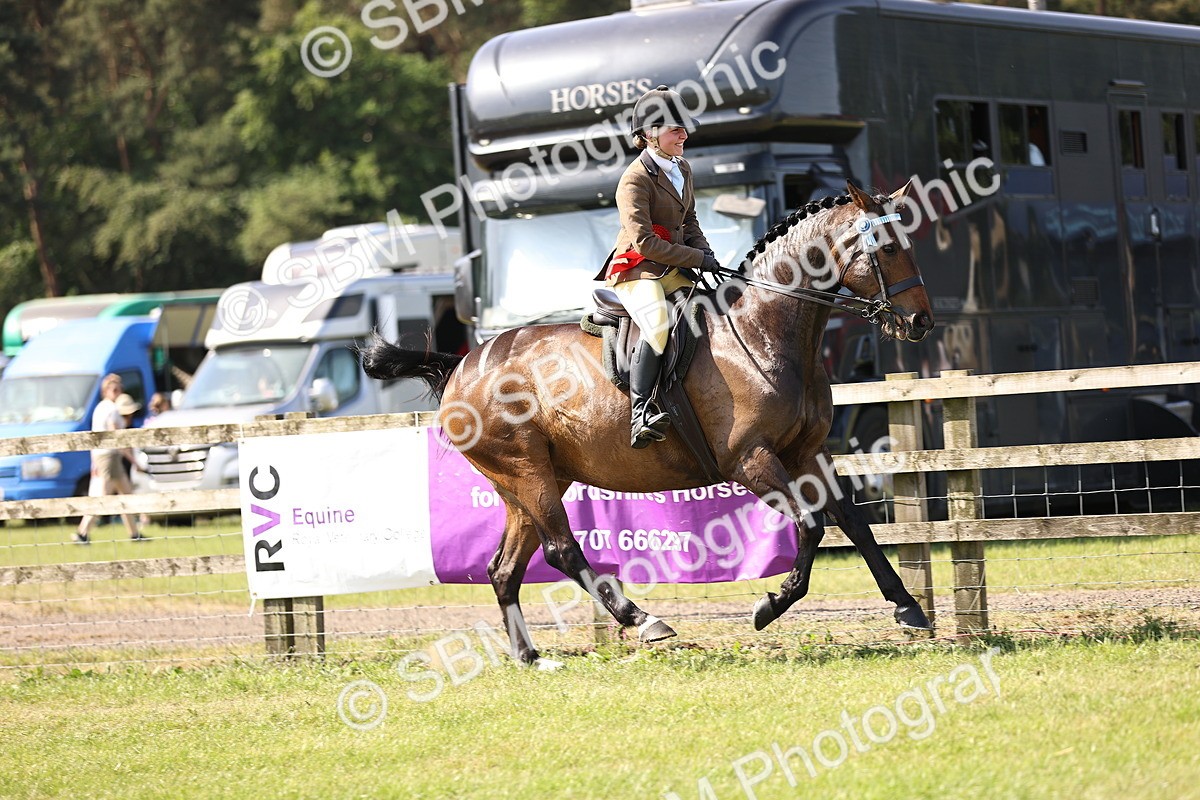 SBM_12958 - Class 75-76 LIHS BSHA Rising Star Hack Riding Horse