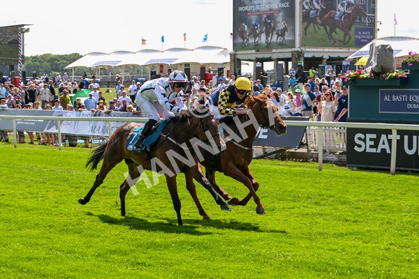 130625-Race 2-Carnation Queen-8650 - Race 2 2.25pm Coopers Marquees Rous Selling Stakes