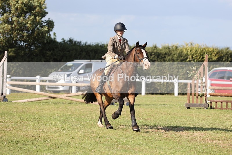 JPP_3209 - Class 21: Working Hunter 80cm