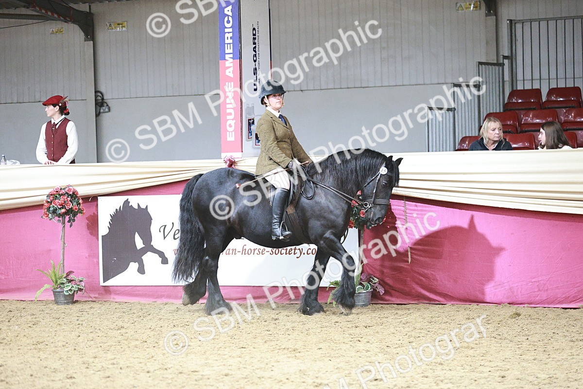SBM_08785 - Class 12R - Regional Ridden Pre-Vet