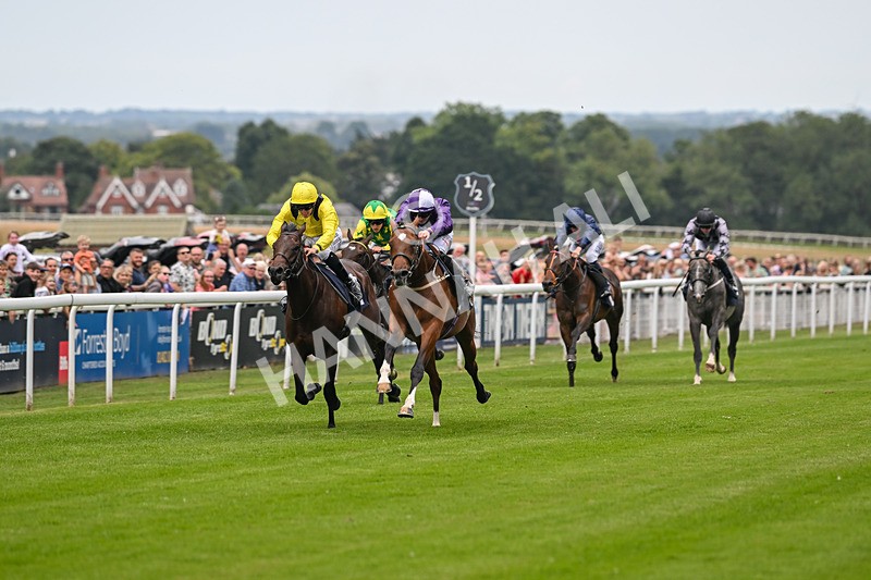 290725-Race 3-Ancient Egypt-0095 - Race 3