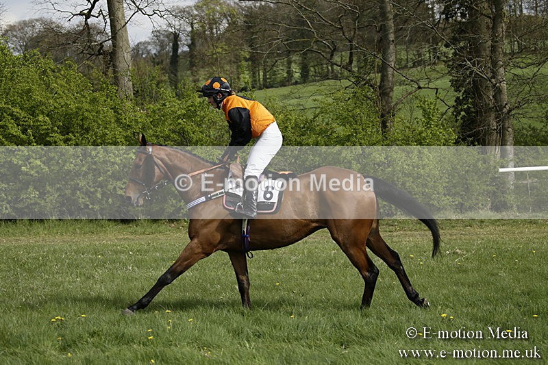 PtP 170417 257 - Old Berks Point-to-Point Lockinge 17/04/17