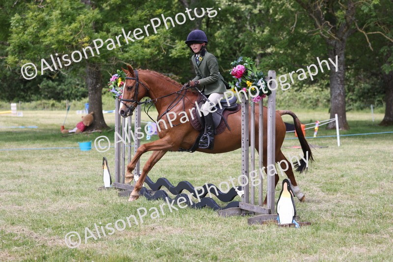 20260614-1858 - Class 21 - Novice Working Hunter Pony