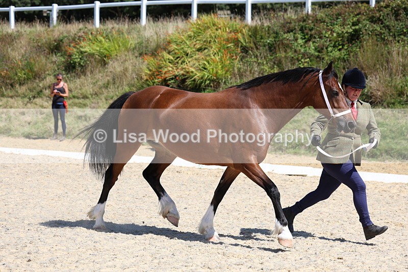 3E7A9642 - Class 32: Best Grass Kept