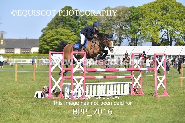 BPP_7016 - CLASS 2 The Ron Brady Sporthorses RHS Classic Championship Qualifier