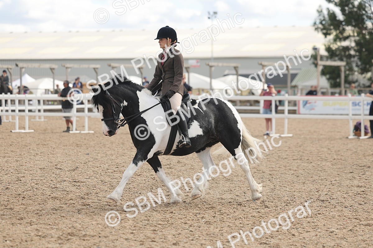 SBM_14652 - Class 307 - Ridden Coloured Pony