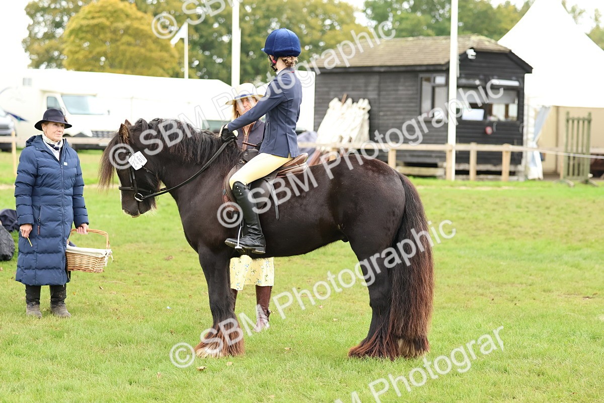 SBM_67543 - S60 - Mini Show Cob Ridden