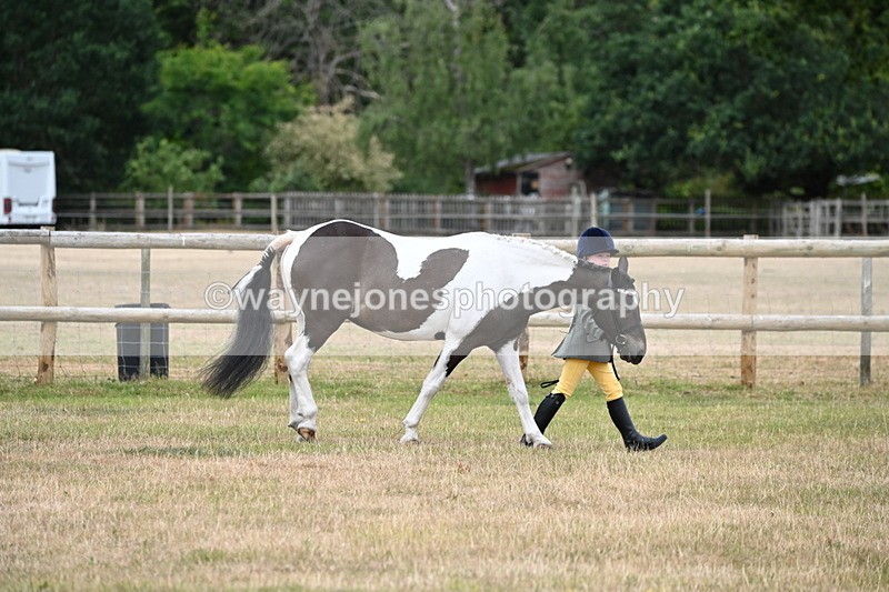 WJ6_4168 - Class 10 Coloured In-hand