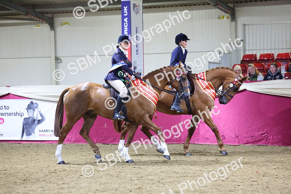 0B8A4353 - Class M Ridden Pairs Champ