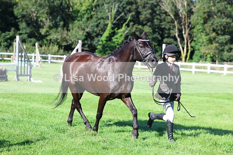 3E7A7683 - Class 1: Novice Working Hunter Pony