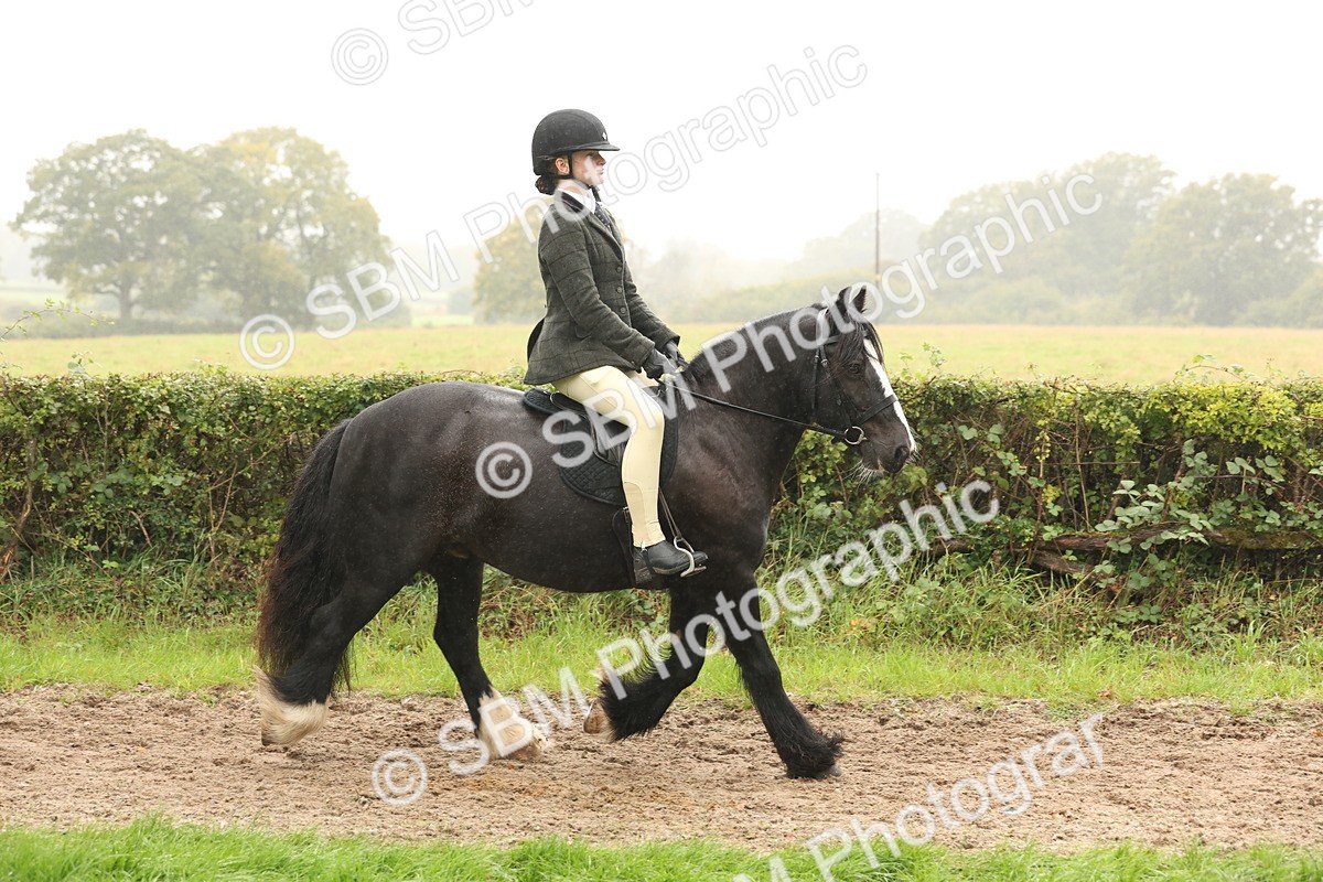 SBM_72681 - S70 - Traditional Cob Ridden