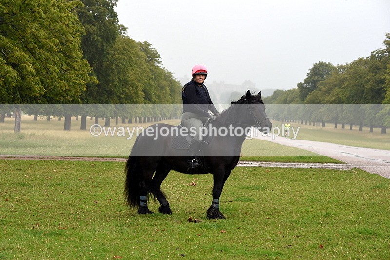 TT3_8025 - Time at Crossing 09:15 to 10:15