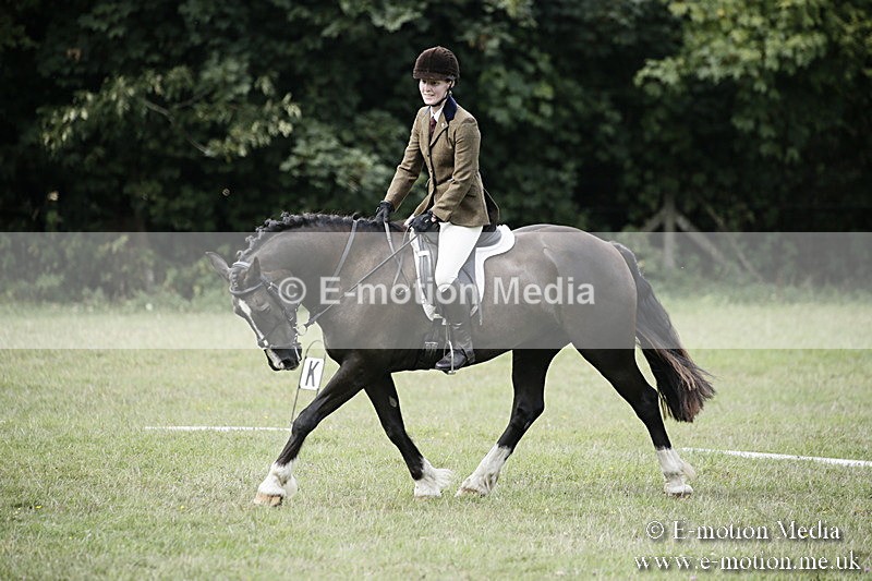 BVR090918 292 - BVRC Dressage and Show Jumping 09/09/18