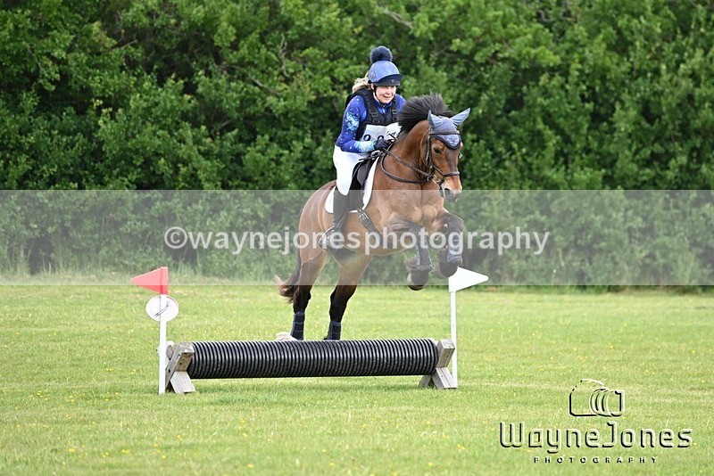 WJ6_2376 - Edited examples