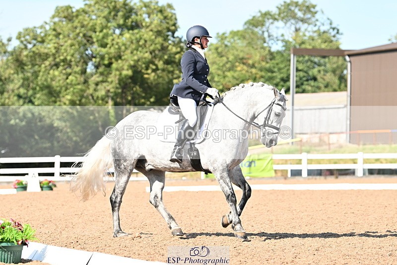 240816A-164108-06243 - 226-Sonya.Fitch-Peyton-THE.GREY.SWALLOW