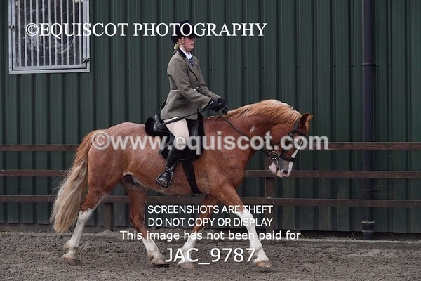 JAC_9787 - CLASS 2 Novice Working Hunter (0.60m - 0.70m)