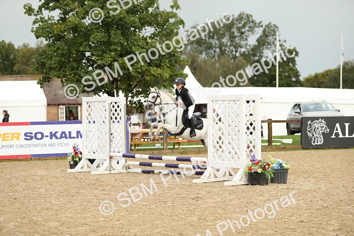 SBM_34210 - J60 Clear Round 50cm