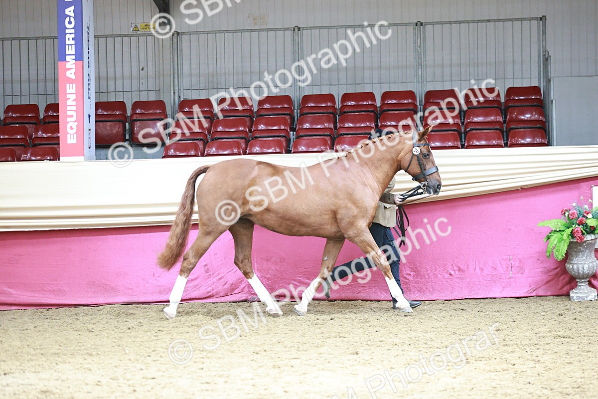 SBM_04679 - Class 7R - Regional IH Diamond