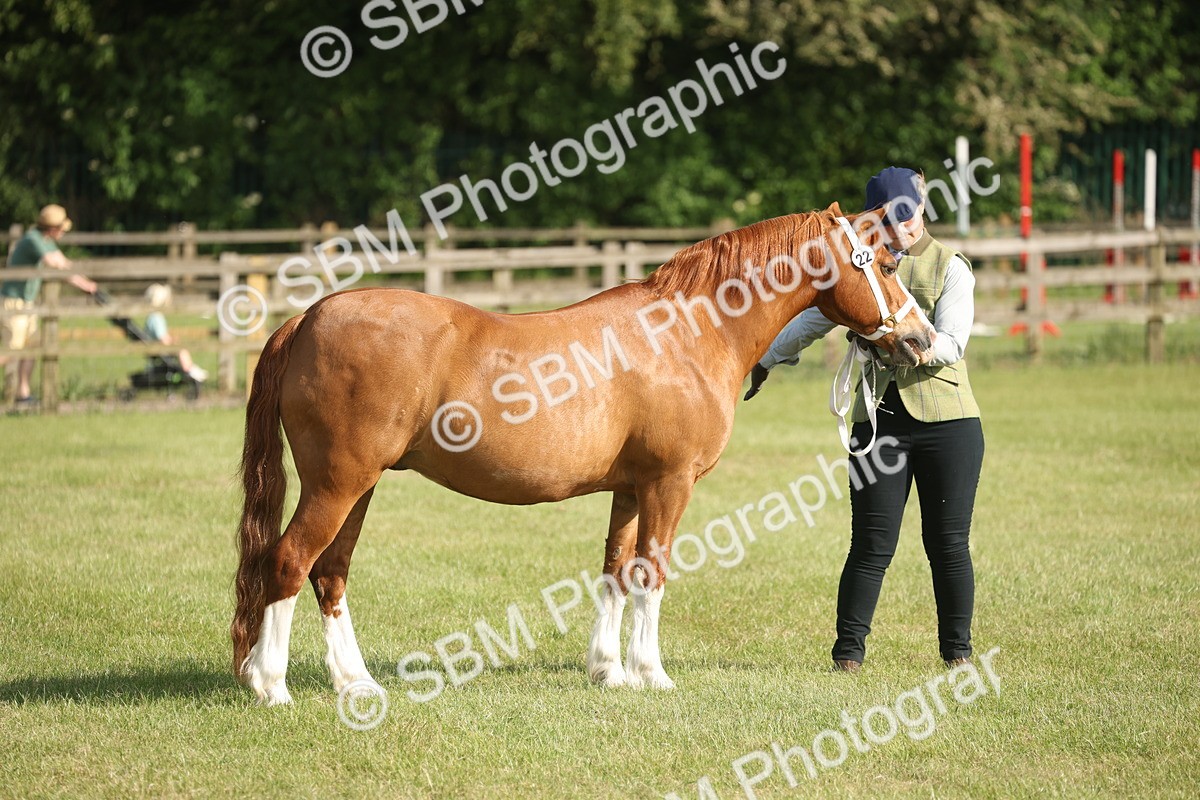 SBM_10448 - Class 33-38 - SSADL RIHS Qualifiers