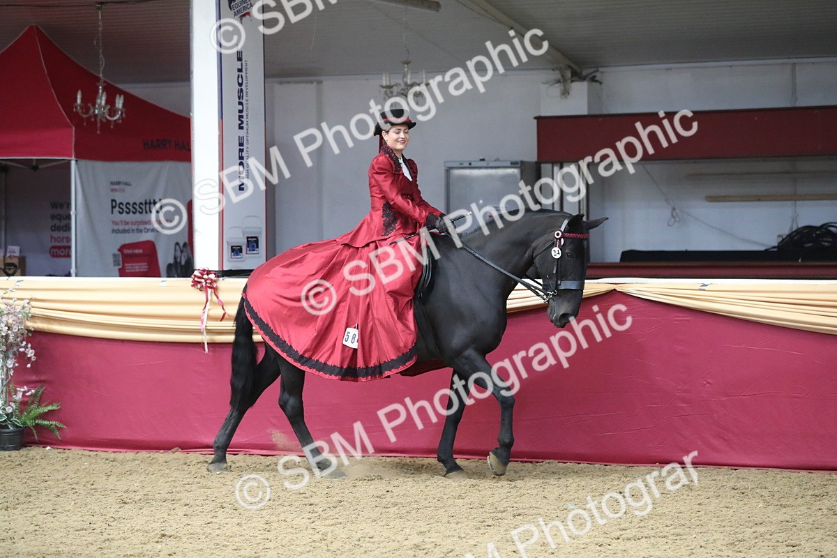 SBM_12176 - Class 107 Ridden Costume- Astride Adult (20+)