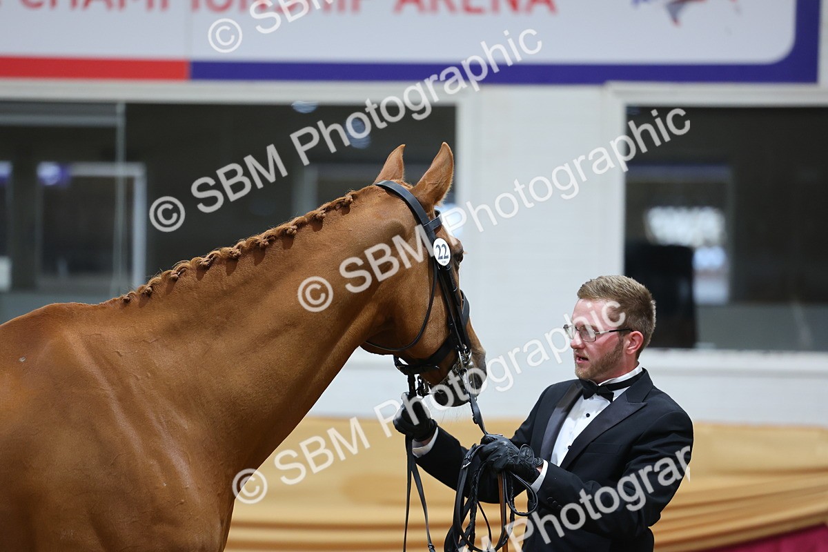 SBM_20934 - Class 902 - Supreme Final IH Veteran