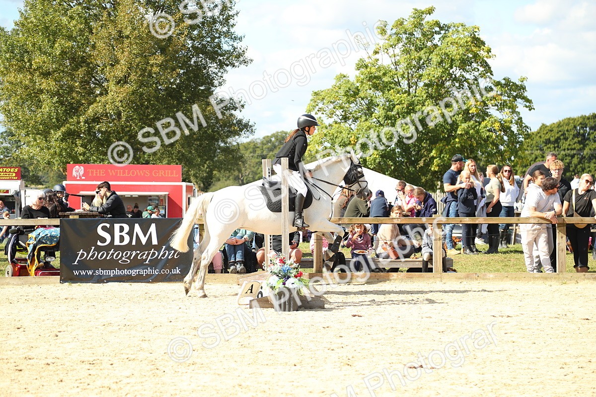 SBM_39436 - J6 - Junior Pony 55cm Championships