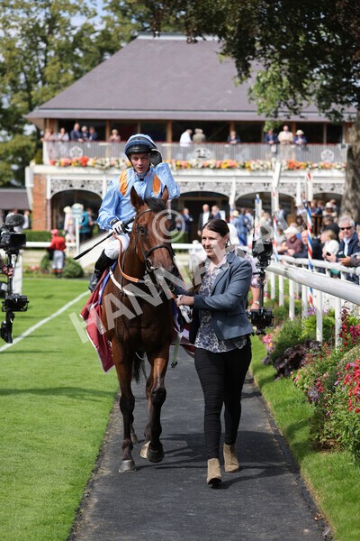 yr18082021r1-87 - Race 1 1.50pm Sky Bet & Symphony Group Stakes