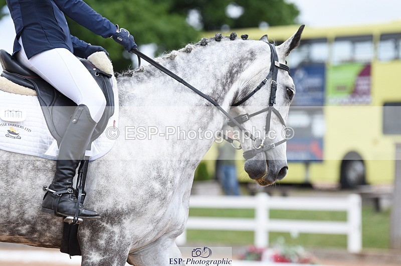 230701A-125746-05974 - Cls 7a Elementary 44