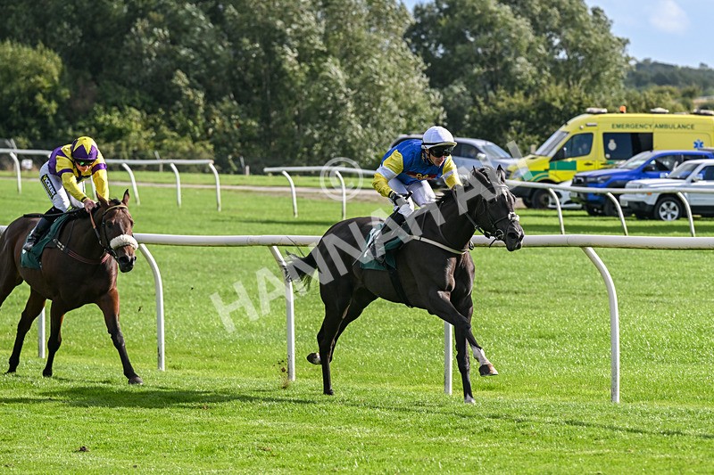 080926-Race 5-Lope Y Linda-2706 - Race 5 4.11pm Every Race Live On Racing TV Handicap